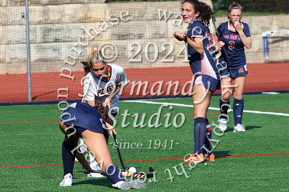 SVL_fh_37