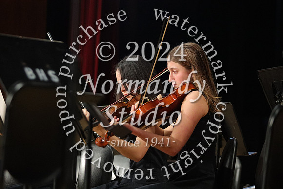 BER_orchestra_38