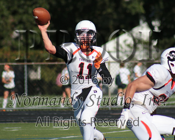 SVL_11_fb-j