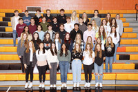 SVL_016_clubs