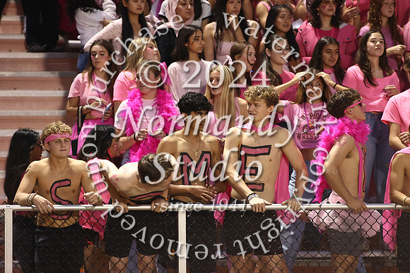 SVL_fans_13