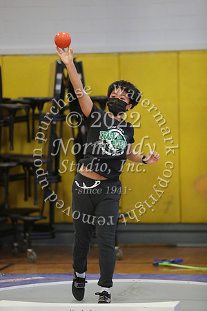 RDG_04_wt-g