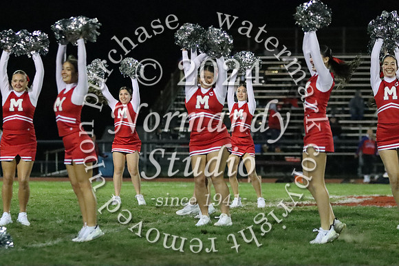 MNP_dt_40