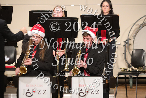 BER_orchestra_46