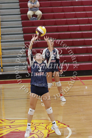 MSM_vb-g_53
