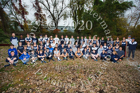 SHP_003_cr