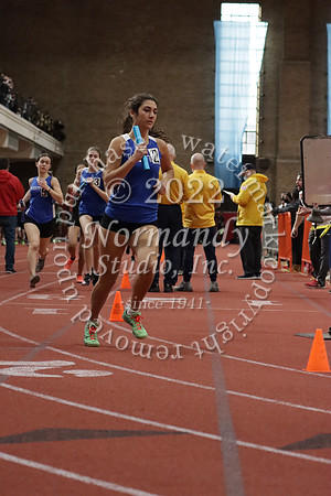 WHS_54_wt-g