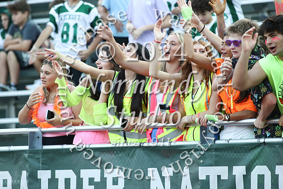 RAM_fans_33