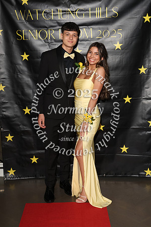 WTG_sr_prom_016