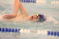 WMC_022_sw-b