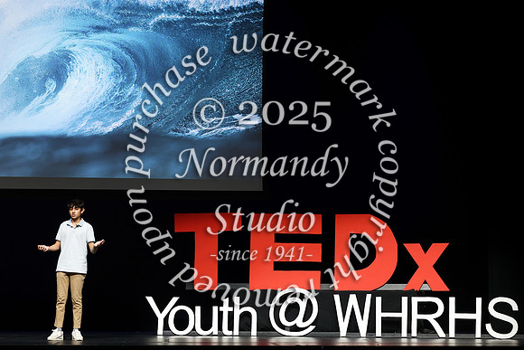 WTG_TEDx_039