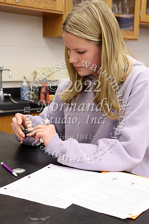 WHS_slc_70