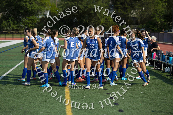 WHS_so-g_10