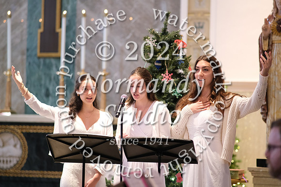 MSM_tree lighting_24