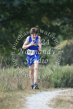 CHS_cc-b_38