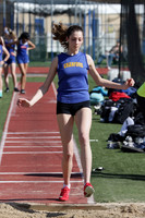 CHS_tr-g_3