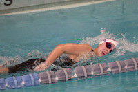 WHS_sw-g_09