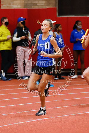 WHS_48_wt-g