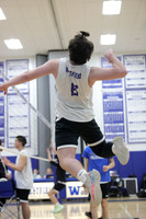 WHS_vb-b-v_14