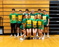 CNH_vb-sr_05