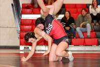 WRESTLING GIRLS