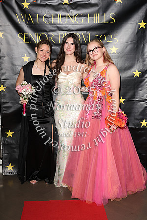 WTG_sr_prom_044