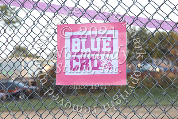 ALJ_54_pink-out