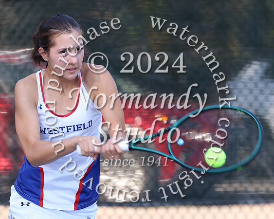 WHS_tn-g_49
