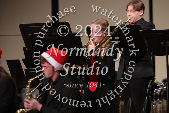 BER_orchestra_58