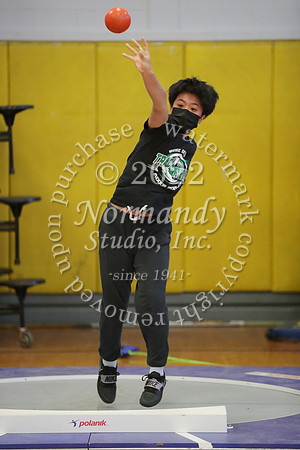 RDG_06_wt-g
