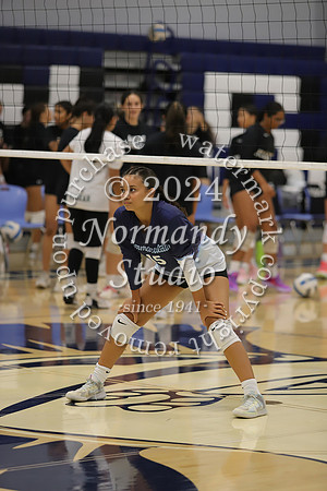 IMC_vb-g_10
