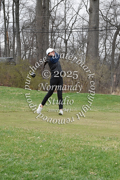 CHS_go-g_34