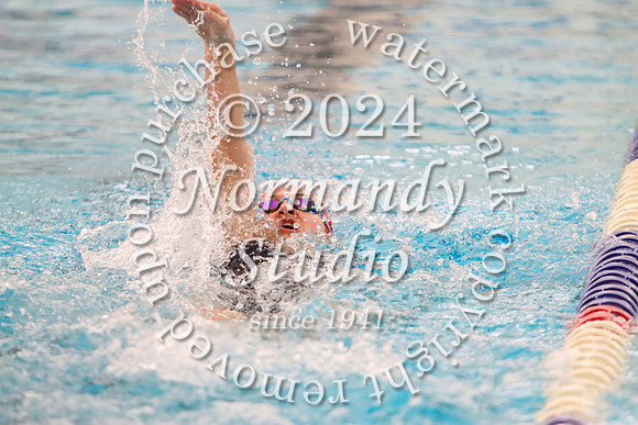 MSM_sw_28