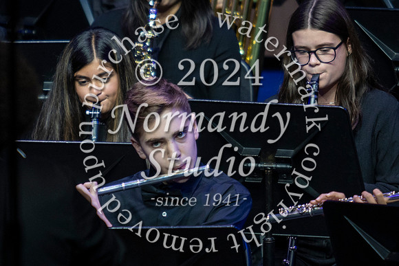 WTG_concert_34