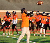 SVL_fb_14