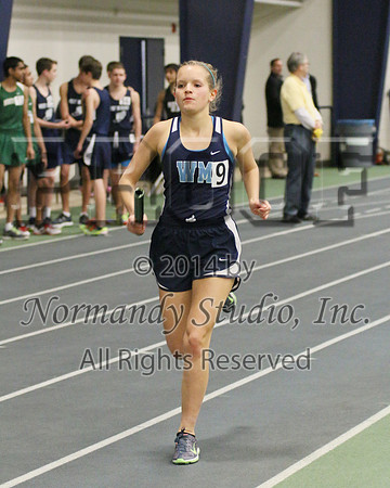 WMC_39_wt-g