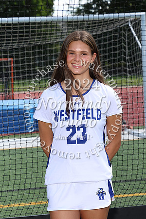 WHS_fh-srs_389