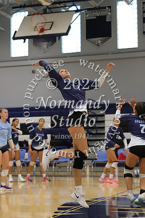 IMC_vb-g_29