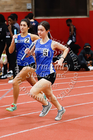 WHS_64_wt-g