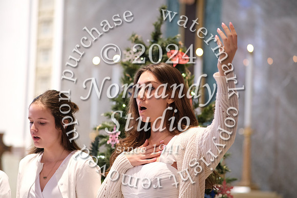 MSM_tree lighting_27