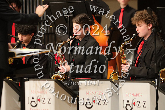 BER_orchestra_51