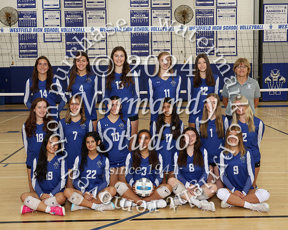 WHS_vb-g-v-t_008