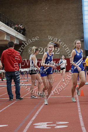WHS_28_wt-g