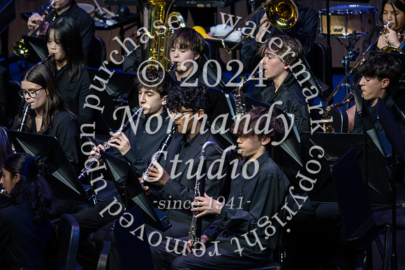 WTG_concert_43