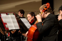 BER_orchestra_16