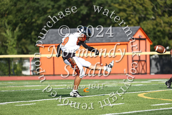 SVL_fb-f_51