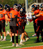 SVL_fb_17