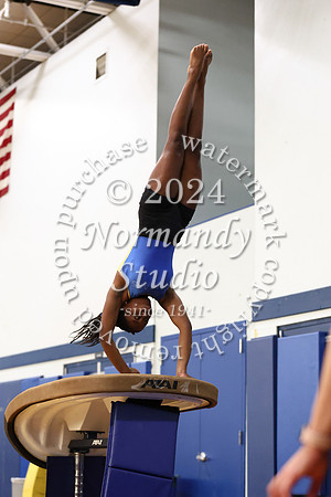 CHS_gy_08