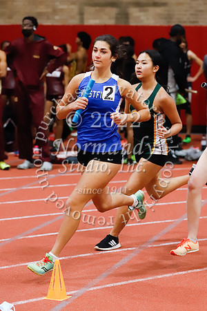 WHS_52_wt-g