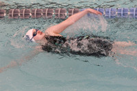 WHS_sw-g_12